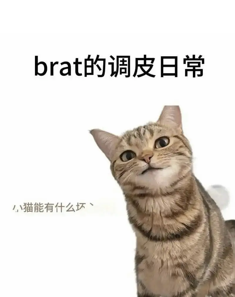 西檬之家Brat属性是什么意思?字母圈新人必看 一