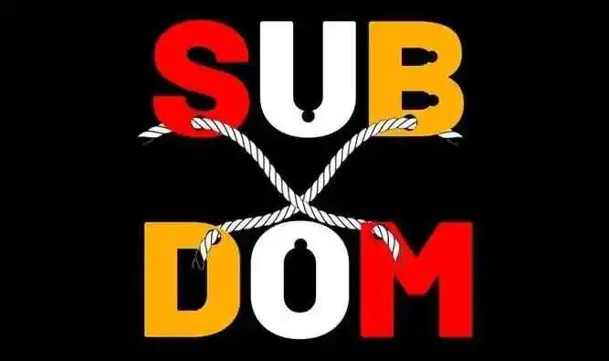 西檬之家Dom是什么意思?字母圈新人必读 一