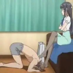 西檬之家BDSM是什么意思? 一