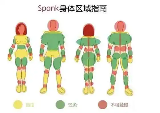 西檬之家什么是s属性?字母圈新人入圈 一