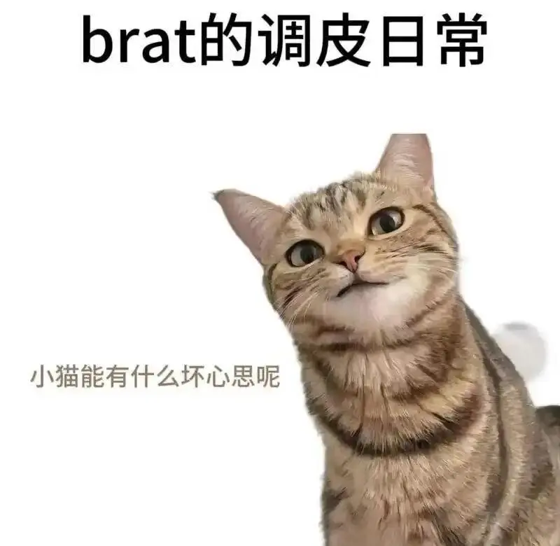 西檬之家Sub是什么? 一