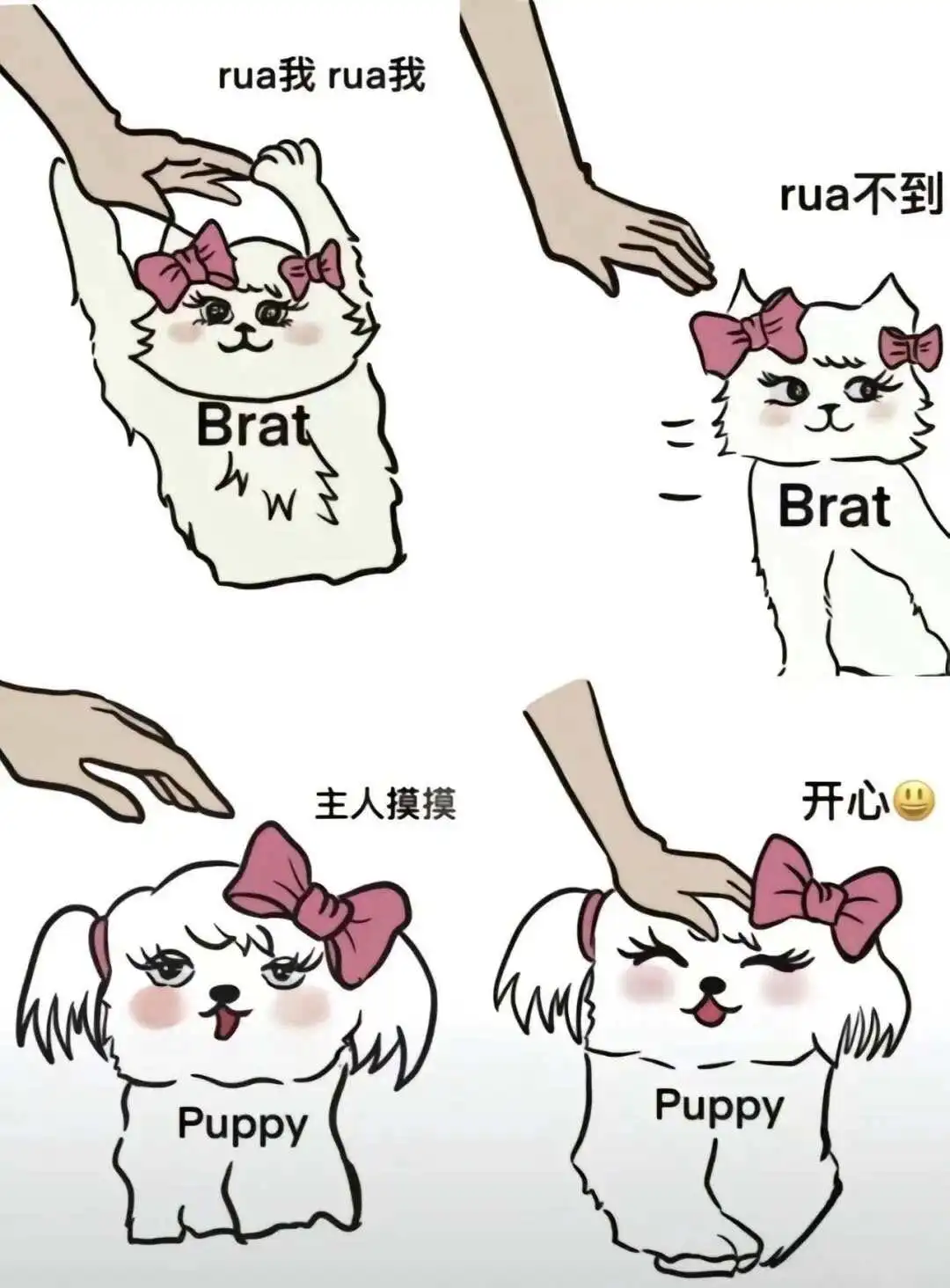 西檬之家spank是什么?字母圈新人入圈指南 一