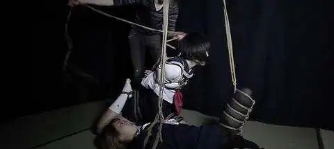 西檬之家ddlg是什么?你的字母圈属性是什么? 一
