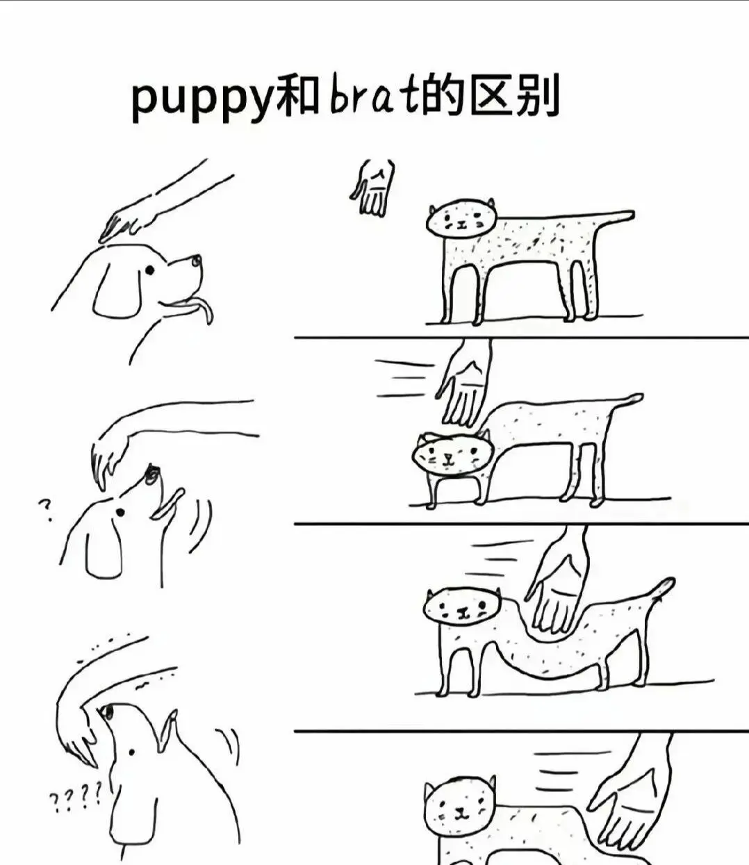 西檬之家Brat属性是什么?字母圈新人怎么破局 一