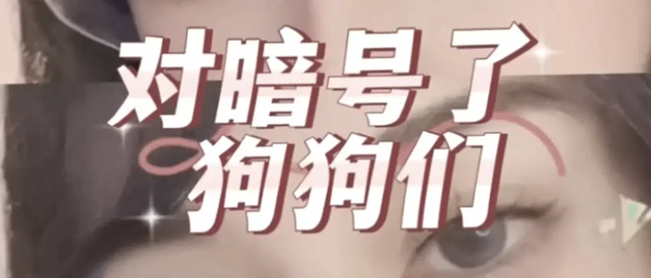 西檬之家sm亚文化是什么?带你读懂字母圈 一