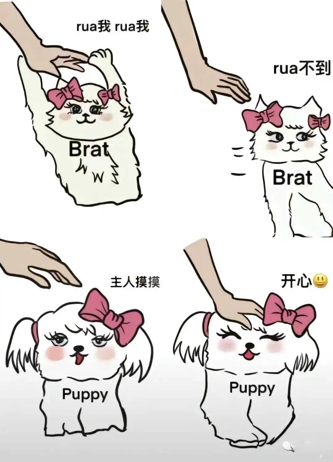 西檬之家DS关系中的权力如何流动? 一